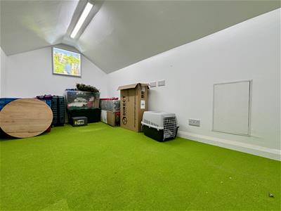 Picture 24